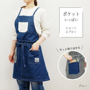 [y] [u[] Gv  fB[X V[gGv ObhCt tYq 848702-BL  Rbg |Pbg y 킢  Lb` ֗  Vv n 