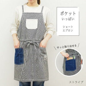 [y] [XgCv] Gv  fB[X V[gGv ObhCt tYq 848719-ST  Rbg |Pbg y 킢  Lb` ֗  Vv 