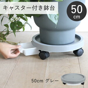 �y�����y�z �v�����^�[�� �L���X�^�[�t�� �A�ؔ��� �v�����g���[�u 50cm �O���[ TPL005 SOW �v�����^�[�X�^���h �L���X�^�[ ���� ������� ���󂯕t�� ���� ���u�� �ϗt�A�� �� �t�����[�X�^���h
