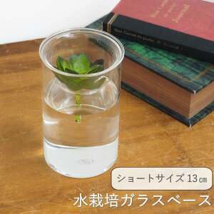 [y] [oux[X V[g] [BULB VASE ͔|KXx[X NA V[g KEGY4060SW SOW] ԕr ֑} ͔| KXx[X e k͔| KX t[x[X   Vv 