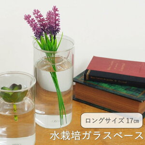 [y] [oux[X O] [BULB VASE ͔|KXx[X NA O KEGY4070 XpCX] ԕr ֑} ͔| KXx[X e k͔| KX t[x[X   Vv 