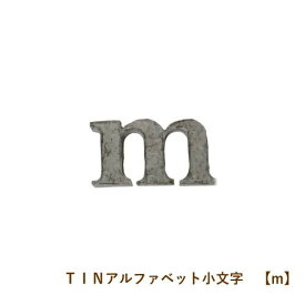 楽天市場 ブリキ アルファベット小文字の通販