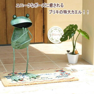 [y] uLV[Y uLtbO 4164 cY W{^tbO JG BIG Frog u 傫 uL ^ ObY |[Y K[f   rbO TCY G uLG