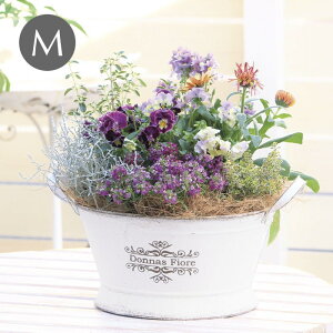 [y] [ EheBv^[ M zCg 5675 cY ] v^[  Jo[ K[fjO Jo[ 񂹐A t[|bg  |bg uL CeA I[ig 