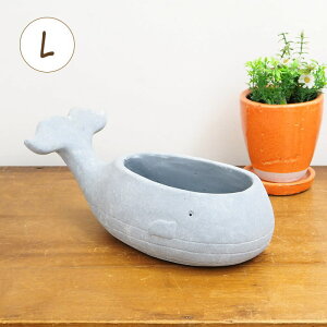 [y] [ zG[v^[L 1829 cY ] Aؔ  v^[ K[fjO  |bg v^[ 킢 t[x[X ꌊ  Zg Zg|bg 񂹐A 