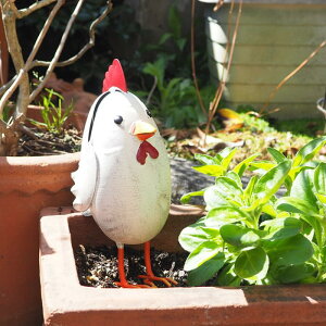 [y][RbR 4858 cY] K[f I[ig u K[fjO IuWF K[fI[ig uL |  CeA fBXvC 킢 K[fG  