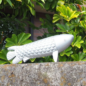 [y][^tBbVfR 4872 cY] u IuWF uL CeA G 킢 fBXvC   tBbV I[ig  Vbv X K[fI[i