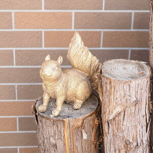 [y] [S[hXNI[] K[fI[ig u  2031 cY K[fjO IuWF   fBXvC I[ig K[f CeA G 킢 Aj}