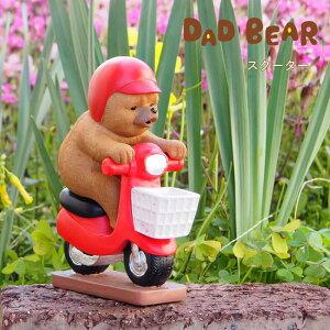 [y] [W_bhxA[XN[^[] u   3272 cY CeA G IuWF 킢 K[fI[ig Aj} fBXvC I[ig u  