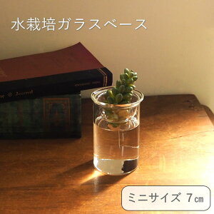 [y] [oux[X ~j7cm] [MINI BULB VASE ͔|KXx[X NA 7cm KEGY4051 XpCX] ԕr ֑} ͔| KXx[X e k͔| KX t[x[X   Vv 