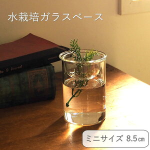 [y] [oux[X ~j8.5cm] [MINI BULB VASE ͔|KXx[X NA 8.5cm KEGY4052 XpCX] ԕr ֑} ͔| KXx[X e k͔| KX t[x[X   Vv