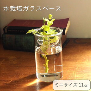 [y] [oux[X ~j11cm] [MINI BULB VASE ͔|KXx[X NA 11cm KEGY4053SW SOW] ԕr ֑} ͔| KXx[X e k͔| KX t[x[X   Vv 