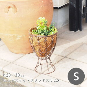 [y][RRoXPbgX^hX S 3087 cY] v^[  O K[fjO oXPbg RRCi[t Aؔ |bg 񂹐A t[|bg C[oXPb