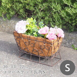 [y][RRoXPbgp S 3146 cY] v^[  O K[fjO oXPbg RRCi[t ` Aؔ |bg 񂹐A t[|bg C[oXPbg A