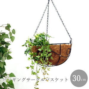 [y][nMOT[NoXPbg 3641 cY] v^[  O K[fjO nMO oXPbg RRCi[t Aؔ |bg ݂艺 Ǌ| 񂹐A t