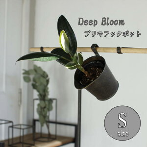 [y][Deep Bloom uLtbN|bgSTCY DTDT6071 XpCX] K[fjO v^[Jo[ t[|bg t[x[X uL Aؔ |bg ԕr Jo[ |bgJo[  ꌊ