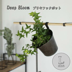 [y][Deep Bloom uLtbN|bgLTCY DTDT6073 XpCX] K[fjO v^[Jo[ t[|bg t[x[X uL Aؔ |bg ԕr Jo[ |bgJo[  ꌊ