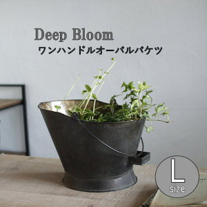 [y][Deep Bloom nhuLI[ooPcLTCY DTDT6053SW SOW] uL|bg K[fjO v^[Jo[ t[|bg t[x[X uL Aؔ |bg ԕr Jo[ |