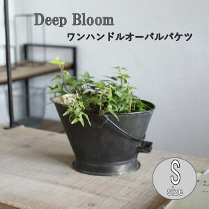 [y][Deep Bloom nhuLI[ooPc STCY DTDT6051SW SOW] uL|bg K[fjO CeA v^[Jo[ t[|bg t[x[X uL Aؔ |bg 