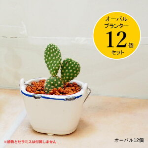 [y][V[u[nh I[o 12Zbg HSJ3306 XpCX] v^[ ~j Aؔ SPICE SPICE OF LIFE ~j|bg Ԋ ȃv^[ A  K[fjO K[fG 