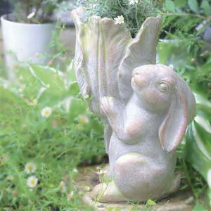 [y][rbg[t|bgS 1729 cY] v^[ Aؔ 킢 Zg|bg  ꌊ  | ƒ؉ K[fjO Ԓd K[f  A    Aj} 