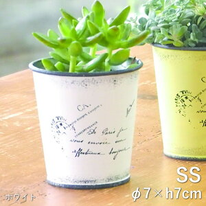 [y][^[|bgSSzCg 3982 cY] v^[ |bg K[fjO Aؔ 2 񂹐A t[|bg  ی^ ~^  Jo[ Ԋ  CeA |  n[u
