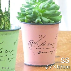 [y][^[|bgSSsN 3985 cY] v^[ |bg K[fjO Aؔ 2 񂹐A t[|bg  ی^ ~^  Jo[ Ԋ  CeA |  n[u 