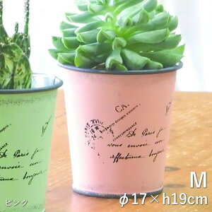 [y][^[|bgMsN 3989 cY] v^[ |bg K[fjO Aؔ 4 񂹐A t[|bg  ی^ ~^  Jo[ Ԋ  CeA |  n[u 