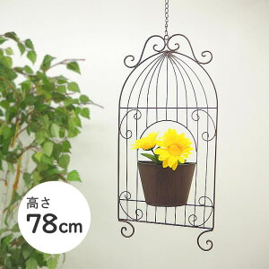 [ EH[P[W|bg 6549 cY ] v^[ Ǐ Ǌ| v^[Jo[ K[fI[ig t[|bg EH[v^[ K[fjO 񂹐A Ԋ |   