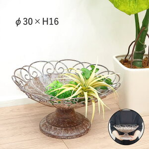 [t[v[g 6142 cY] t[X^h K[fjO ԑ ACA K[fI[ig  CeA fBXvC X^h  v^[ u  v