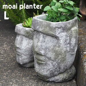 [y][AC|bgL 1732 cY] v^[ Aؔ j[N Zg|bg  ꌊ  | ƒ؉ K[fjO Ԓd K[f  A   AC AC fp Ce