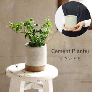 [y][FEEL THE GARDEN Zgv^[ EhS CBGZ2011SW SOW] v^[ Zg  3 4 ` X  |bg K[fjO Aؔ 񂹐A  ی^ ~^ p`  J