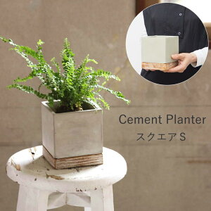 [y][FEEL THE GARDEN Zgv^[ XNGAS CBGZ2021SW SOW] v^[ Zg  3 4 ` X  |bg K[fjO Aؔ 񂹐A  ی^ ~^ p`  J
