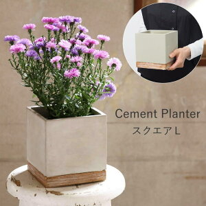 [y][FEEL THE GARDEN Zgv^[ XNGAL CBGZ2023SW SOW] v^[ Zg  3 4 ` X  |bg K[fjO Aؔ 񂹐A  ی^ ~^ p`  J