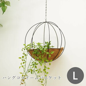 [y][nORRh[oXPbgL 3073 cY] v^[  O K[fjO ݂艺 nLO oXPbg RRCi[t Aؔ |bg 񂹐A t[|bg 