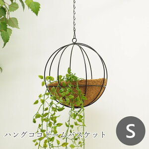 [y][nORRh[oXPbgS 3074 cY] v^[  O K[fjO ݂艺 nLO oXPbg RRCi[t Aؔ |bg 񂹐A t[|bg 