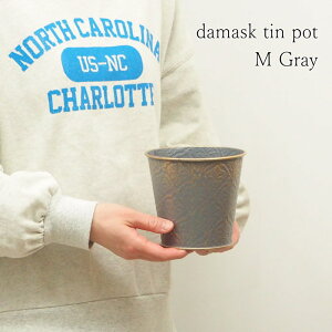 [y][_}XNeB|bgM Gray 5460 cY] v^[  |bg K[fjO Aؔ 4.5 4 񂹐A t[|bg  ی^ ~^ uL|bg  Jo[ uL C