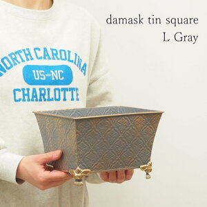 [y][_}XNeBXNGAL Gray 5466 cY] v^[  񂹐A K[fjO Aؔ |bg t[|bg  ` uL|bg rt  Jo[ uL C