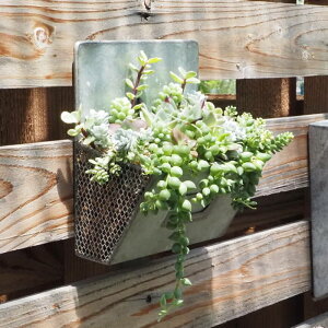 [y] [uL^[EH[v^[ 40014 cY] nMO v^[ y uL K[fjO G Ǌ|v^[ nMOv^[  O Ǌ| Ce