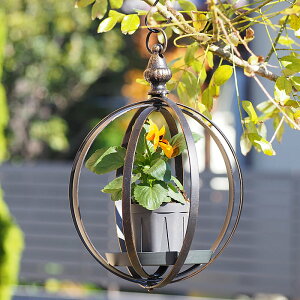 [y][K[fnO{[S 6546 cY] K[fI[ig CeA   ACA  V ݂艺 I[ig IuWF G  AeB[N 킢 fB