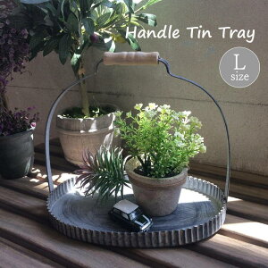 [y][ Mbh nhuLgC I[oL BAGF2053 ] gC uL g[ t[X^h  K[fjO 񂹐A ԑ u ϗtA AeB[N CeA Iu