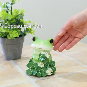 �y�����y�z �J�G�� �R�|�[ ������ �R�|�[�V���[�Y �J�G���O�b�Y �u�� ���� ���� ���킢���u�� copeau �~�j�K�[�f�� ���b�L�[�N���[�o�[�ƃJ�G�� 72617 �_�C�J�C �R�|�[�J�G�� �J�G���u�� �R�|�^