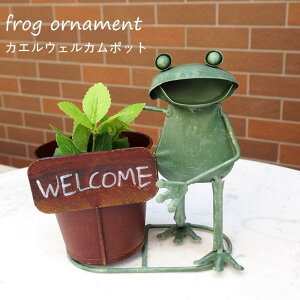 [y][JGEFJ|bg 4912 cY] JG v^[ Aؔ uL ^ u G IuWF I[ig fBXvC  JtF  X Vbv T  킢 