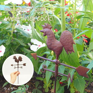 [o] [EFU[RbR] K[fI[ig  sbN 4854 cY K[fsbN K[fjO IuWF  ~j CeA G 킢 K[f I[ig Xe