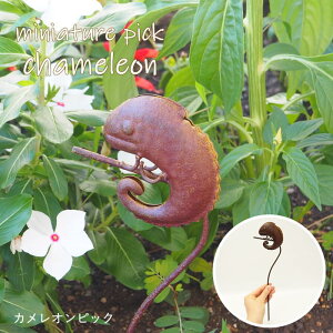 [o] [JIsbN] K[fI[ig  sbN 4855 cY K[fsbN K[fjO IuWF  ~j CeA G 킢 K[f I[ig X