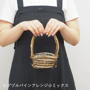 [y] [qQdoCAW~bNX 9913 cY]  Ԋ oXPbg  AW x[X Ԃ t[AWg  K[fjOG AWgpԊ 