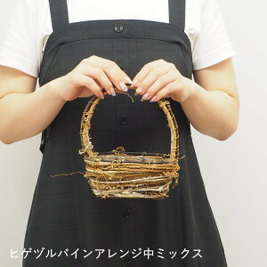 [y] [qQdoCAW~bNX 9912 cY]  Ԋ oXPbg  AW x[X Ԃ t[AWg  K[fjOG AWgpԊ 