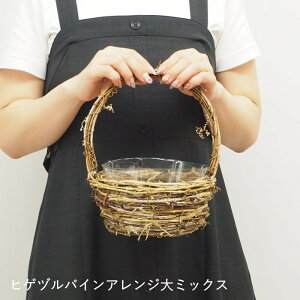 [y] [qQdoCAW~bNX 9914 cY]  Ԋ oXPbg  AW x[X Ԃ t[AWg  K[fjOG AWgpԊ 