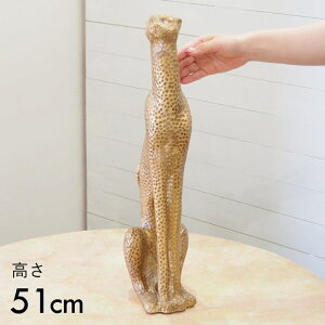 [S[hpT[ 1818 cY] u CeA  IuWF 傫   K[f  K[fI[ig Zg Aj} fBXvC K[fjO I[i