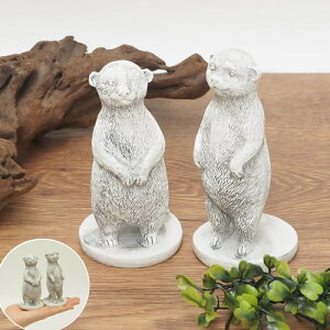 [~[ALbgcKC 3256 cY] u CeA  IuWF  Zbg  K[f K[fI[ig 킢 Aj} yA fBXvC K[fjO I[i